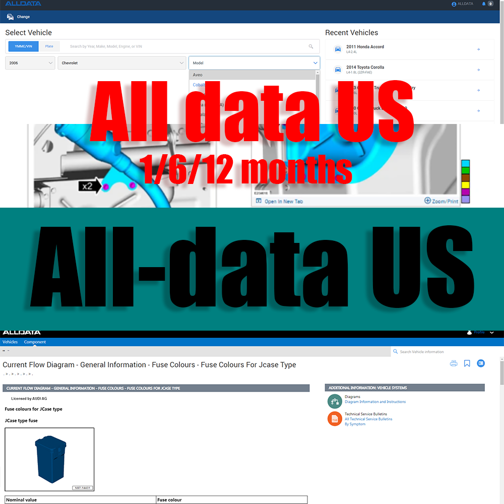 2026 Alldata US Full Version O - Workshop Tools Online recension och pris
